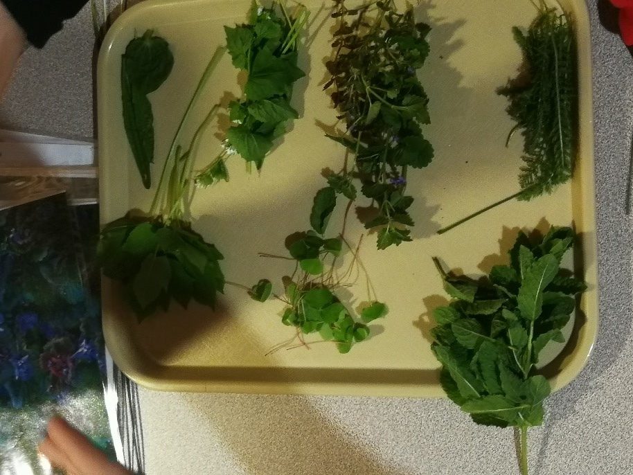 Atelier de cuisine qui permet aux jeunes de découvrir des plantes comestibles